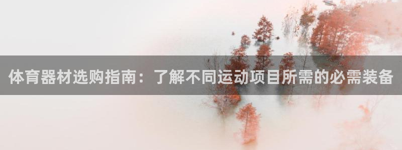 必发BIFA官方网站|体育器材选购指南：了解不同运动项目所需