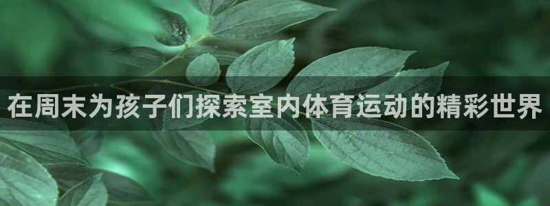 必发集团官方网站|在周末为孩子们探索室内体育运动的精彩世界