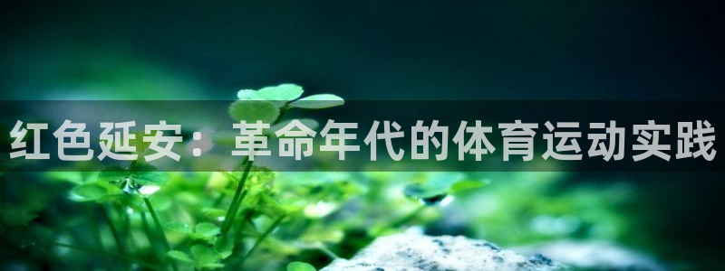 必发集团网站app|红色延安：革命年代的体育运动实践